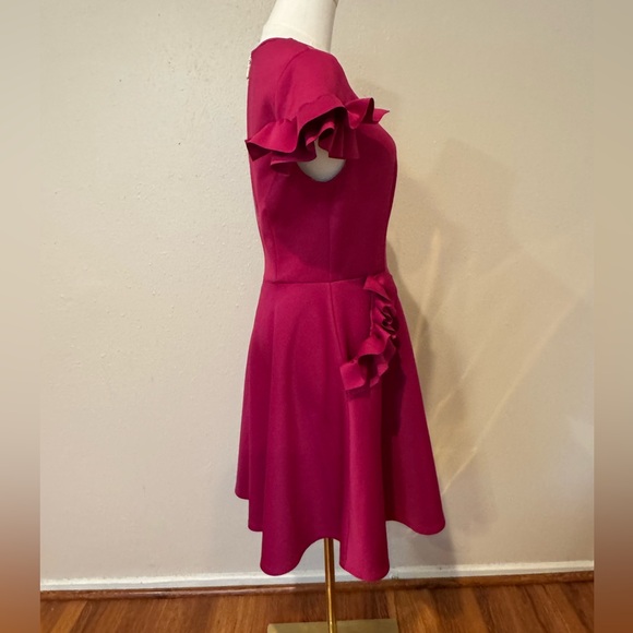 TED BAKER Ruffle Sleeve Mini Dress - Picture 6 of 15